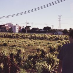 alejandrooo
