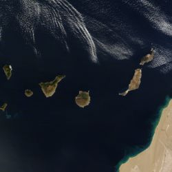 canarias7