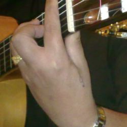 elbolilla