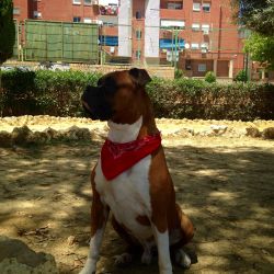dieguito_ruido