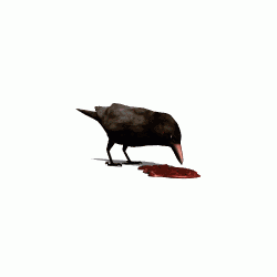 elektrocrow