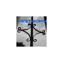 beethonin