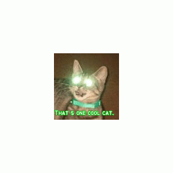 catapufate