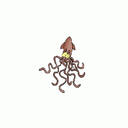 calamarito