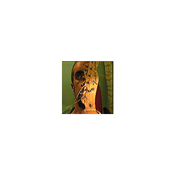 roo_hs