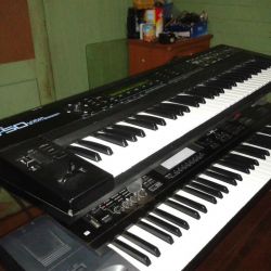 carlos3881