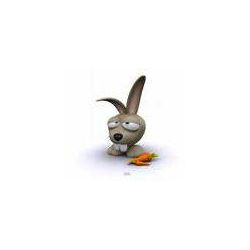 el_conejo
