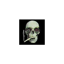 diegazo