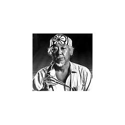 sr_miyagi
