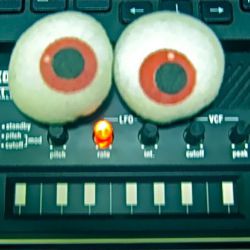 deejayshak