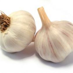 ajo