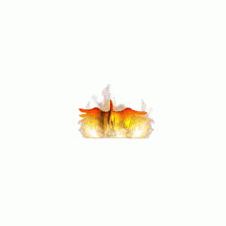 eternity