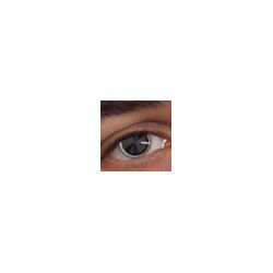 kokodrilosp