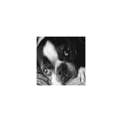 carhenri