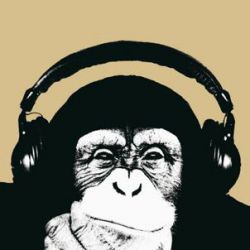 mantekdj
